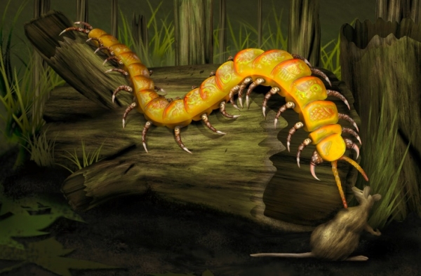 Creation of Mystic Centipede: Step 13